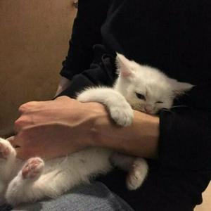 毛茸茸的大骚屄视频
